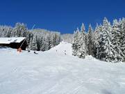 Dalafdaling nr. 9a Zwieselalm