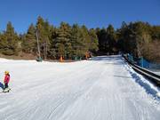 Tip voor de kleintjes 