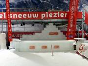 De ijsbar in de skihal