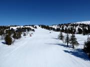 Afdaling Kvitfjelløypa