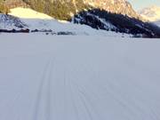 De loipes in Steg zijn geprepareerd voor de klassieke en de skatingstijl.