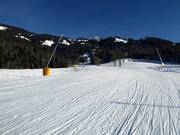 Windau-afdaling in Westendorf