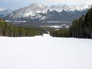 Afdaling Lower Eye Opener