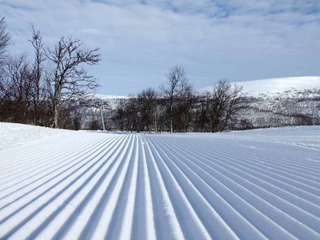 Pistepreparatie Härjedalen – Pistepreparatie Tänndalen
