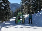 FilZOO Avonturenroute