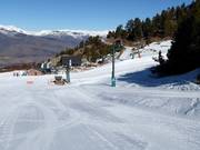 Debutants Coma Oriola - Pannenkoeklift