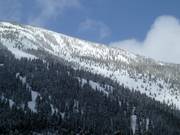 Uitzicht op de bosafdalingen bij North Peak