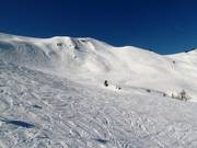 Freeridegebied bij de Fulseck