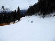 Piste van Brennerköpfl naar het dalstation Gschwandtkopf