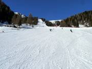 Piste Cinque Nazioni