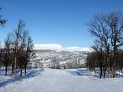 Piste nr. 5 Genvägen