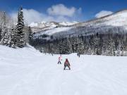Makkelijke piste bij de stoeltjeslift Link
