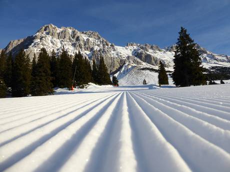 Pistepreparatie Wettersteingebergte en Mieminger Kette – Pistepreparatie Ehrwalder Alm – Ehrwald