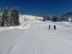 Skigebieden voor beginners in het Alpenrheintal – Beginners Laterns – Gapfohl