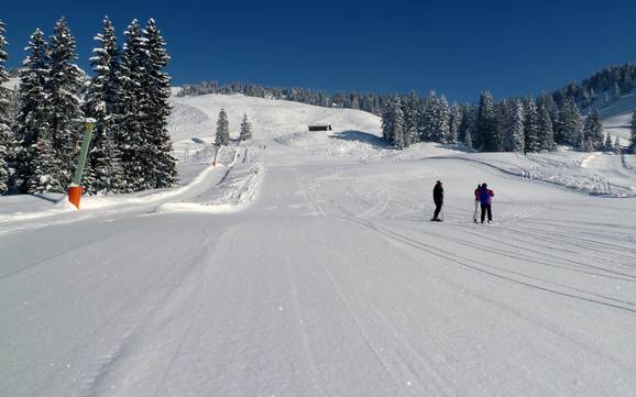 Skigebieden voor beginners in Bodensee-Vorarlberg – Beginners Laterns – Gapfohl