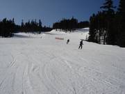 Drie pistes komen samen