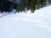 Perfecte piste in Pampeago