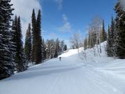 Gemakkelijke Teton Vista Traverse