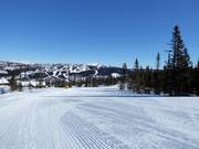 Gemakkelijke piste Vesleseterbakken