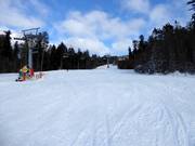 Gemakkelijke Schwarzenbergafdalingen