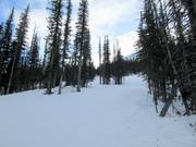 De Monster Glades in Nakiska