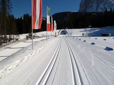 Langlaufen Dolomiti Superski – Langlaufen Gröden (Val Gardena)