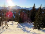 Bosafdaling bij Goat's Eye Mountain