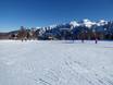 Skigebieden voor beginners in het geldigheidsgebied van Skirama Dolomiti – Beginners Madonna di Campiglio/Pinzolo/Folgàrida/Marilleva