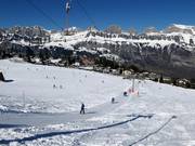 Tannenboden - Sleeplift met T-beugel/Ankerlift