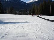 Beginnersgebied in het dal