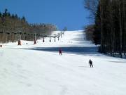 Middelzware afdaling bij de Almberg-stoeltjeslift