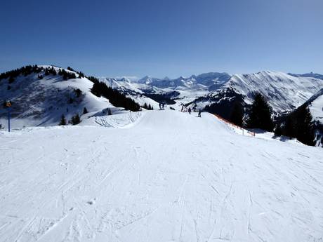 Skigebieden voor beginners in het Berner Oberland – Beginners Rinderberg/Saanerslochgrat/Horneggli – Zweisimmen/Saanenmöser/Schönried/St. Stephan
