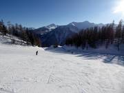 Makkelijke beginnerspiste Scoiattolo bij het middenstation Tarlenta