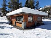 The Shack at Greywolf