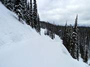 Verbindingspiste Ripper Connector