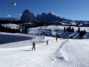 Ludy - Pannenkoeklift