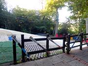 Uitzicht op de Nursery Slope