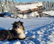 Hunderesort Waldeck