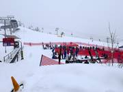 Tip voor de kleintjes 