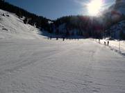 Gemakkelijke piste bij Gerlosstein