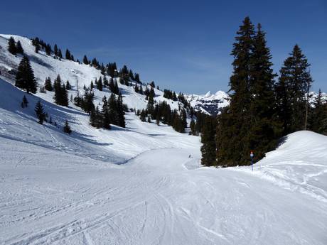 Pisteaanbod Gstaad – Pisteaanbod Rinderberg/Saanerslochgrat/Horneggli – Zweisimmen/Saanenmöser/Schönried/St. Stephan