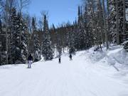 Gemakkelijke piste Ontario
