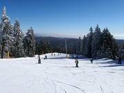 Gemakkelijke piste Dámská