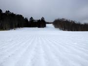 Piste The Skirts Road