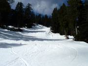 Afdaling Cabin Trail