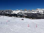 Makkelijke pistes bij de sleepliften Schwammkopf en Tannenboden