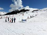 Transportband in Beret