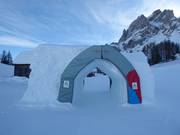 Tip voor de kleintjes 