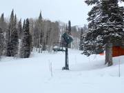 Sneeuwkanon in het skigebied Grand Targhee