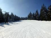 Besneeuwd winterlandschap en droompistes